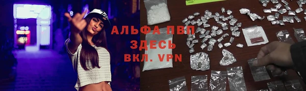 спиды Абаза