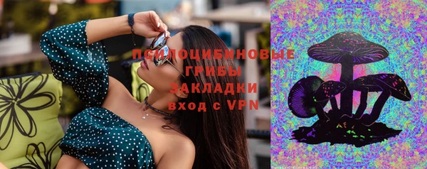 apvp Михайловск