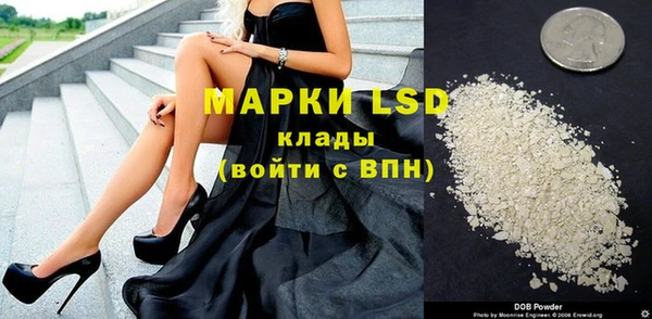 a pvp Алзамай