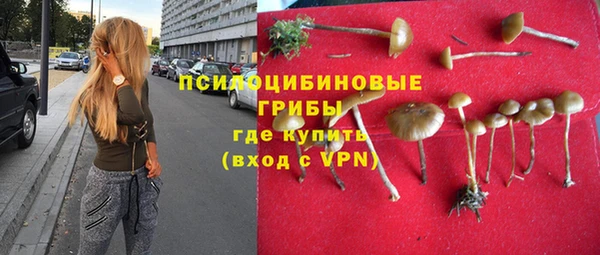 дмт Алексеевка