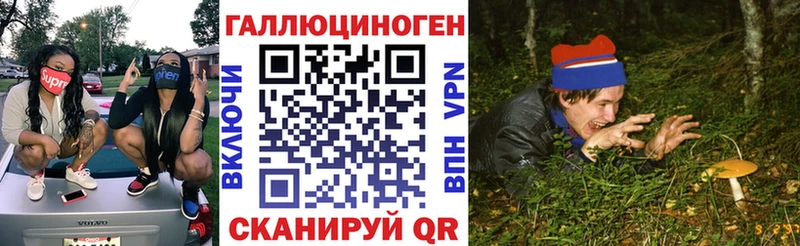 площадка состав  Старая Купавна  Псилоцибиновые грибы Cubensis 